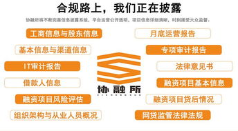 協(xié)融所 多措并舉構(gòu)筑金融安全壁壘，賦能增值電信業(yè)務(wù)穩(wěn)健發(fā)展